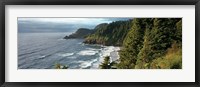 High angle view of a coastline, Heceta Head Lighthouse, Oregon, USA Fine Art Print