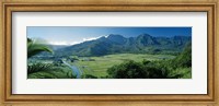 High angle view of taro fields, Hanalei Valley, Kauai, Hawaii, USA Fine Art Print
