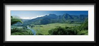 High angle view of taro fields, Hanalei Valley, Kauai, Hawaii, USA Fine Art Print