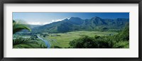 High angle view of taro fields, Hanalei Valley, Kauai, Hawaii, USA Fine Art Print