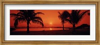 Silhouette of palm trees on the beach at dusk, Lydgate Park, Kauai, Hawaii, USA Fine Art Print