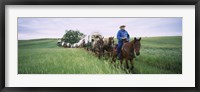 Historical reenactment of covered wagons in a field, North Dakota, USA Fine Art Print