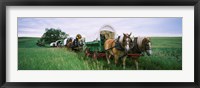 Historical reenactment, Covered wagons in a field, North Dakota, USA Fine Art Print