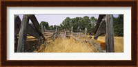 Ranch cattle chute in a field, North Dakota, USA Fine Art Print