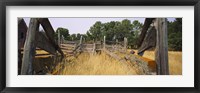 Ranch cattle chute in a field, North Dakota, USA Fine Art Print