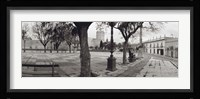 Trees in front of a building, Alameda Vieja, Jerez, Cadiz, Spain Fine Art Print