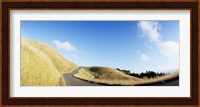 Curved road on the mountain, Marin County, California, USA Fine Art Print
