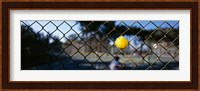 Close-up of a tennis ball stuck in a fence, San Francisco, California, USA Fine Art Print