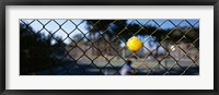 Close-up of a tennis ball stuck in a fence, San Francisco, California, USA Fine Art Print