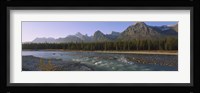 Trees along a river with a mountain range in the background, Athabasca River, Jasper National Park, Alberta, Canada Fine Art Print