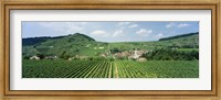 Vineyards near a village, Oberbergen, Der Vogelsangpass, Bereich Kaiserstuhl, Baden-Wurttemberg, Germany Fine Art Print