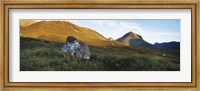 Lichen covered rock in a field, Glen Sligachan, Cuillins, Isle Of Skye, Scotland Fine Art Print