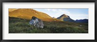 Lichen covered rock in a field, Glen Sligachan, Cuillins, Isle Of Skye, Scotland Fine Art Print