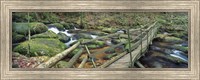 Leap of Faith broken bridge, Becky Brook, Becky Falls, Bovey Tracey, Dartmoor National Park, Devon, England Fine Art Print