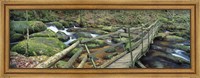 Leap of Faith broken bridge, Becky Brook, Becky Falls, Bovey Tracey, Dartmoor National Park, Devon, England Fine Art Print