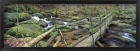Leap of Faith broken bridge, Becky Brook, Becky Falls, Bovey Tracey, Dartmoor National Park, Devon, England Fine Art Print