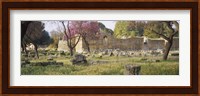 Ruins of a building, Ancient Olympia, Peloponnese, Greece Fine Art Print