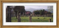 Ancient Olympia, Olympic Site, Greece Fine Art Print