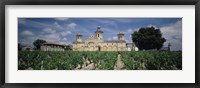 Vineyard in front of a castle, Chateau Cos d'Estournel, Saint-Estephe, Bordeaux, Gironde, Graves, France Fine Art Print