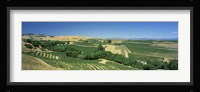 Carneros District, Napa Valley, Napa County, California Fine Art Print
