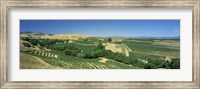 Carneros District, Napa Valley, Napa County, California Fine Art Print