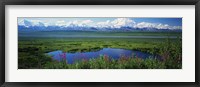 Fireweed flowers in bloom by lake, distant Mount McKinley and Alaska Range in clouds, Denali National Park, Alaska, USA. Fine Art Print