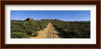 Dirt road passing through a landscape, Kouebokkeveld, Western Cape Province, South Africa Fine Art Print