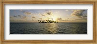 Silhouette of palm trees on an island, Placencia, Laughing Bird Caye, Victoria Channel, Belize Fine Art Print