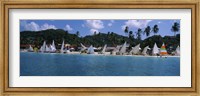 Sailboats on the beach, Grenada Sailing Festival, Grand Anse Beach, Grenada Fine Art Print
