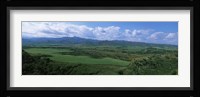 High angle view of sugar cane fields, Cienfuegos, Cienfuegos Province, Cuba Fine Art Print