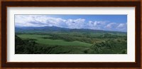 High angle view of sugar cane fields, Cienfuegos, Cienfuegos Province, Cuba Fine Art Print