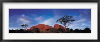Low angle view of a sandstone, Olgas, Uluru-Kata Tjuta National Park, Northern Territory, Australia Fine Art Print
