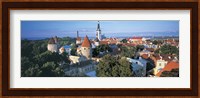 High angle view of a town, Tallinn, Estonia Fine Art Print