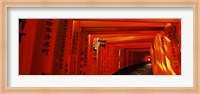 Torii gates of a shrine, Fushimi Inari-Taisha, Fushimi Ward, Kyoto, Kyoto Prefecture, Kinki Region, Honshu, Japan Fine Art Print