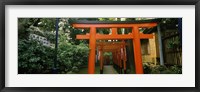 Torii Gates in a park, Ueno Park, Taito, Tokyo Prefecture, Kanto Region, Japan Fine Art Print