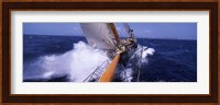 Sailboat in the sea, Antigua, Antigua and Barbuda Fine Art Print