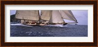 Sailboat in the sea, Schooner, Antigua, Antigua and Barbuda Fine Art Print