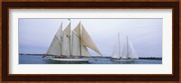 Sailboats in the sea, Narragansett Bay, Newport, Newport County, Rhode Island, USA Fine Art Print