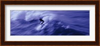 High angle view of a person surfing in the sea, USA Fine Art Print