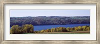 Trees at the lakeside, Owasco Lake, Finger Lakes, New York State, USA Fine Art Print