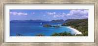 Trees on the coast, Trunk Bay, Virgin Islands National Park, St. John, US Virgin Islands Fine Art Print