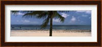Palm tree on the beach, Malindi, Coast Province, Kenya Fine Art Print