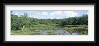Reflection of clouds in water, Watamu Marine National Park, Watamu, Coast Province, Kenya Fine Art Print
