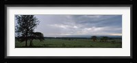 Lake Nakuru National Park, Great Rift Valley, Kenya Fine Art Print