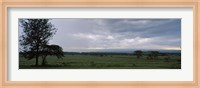 Lake Nakuru National Park, Great Rift Valley, Kenya Fine Art Print