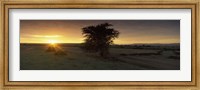 Sunset over a landscape, Masai Mara National Reserve, Great Rift Valley, Kenya Fine Art Print