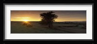 Sunset over a landscape, Masai Mara National Reserve, Great Rift Valley, Kenya Fine Art Print