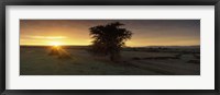 Sunset over a landscape, Masai Mara National Reserve, Great Rift Valley, Kenya Fine Art Print