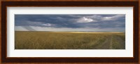 Dirt road passing through a meadow, Masai Mara National Reserve, Great Rift Valley, Kenya Fine Art Print
