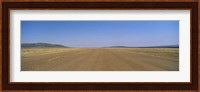 Dirt road passing through a landscape, Masai Mara National Reserve, Great Rift Valley, Kenya Fine Art Print